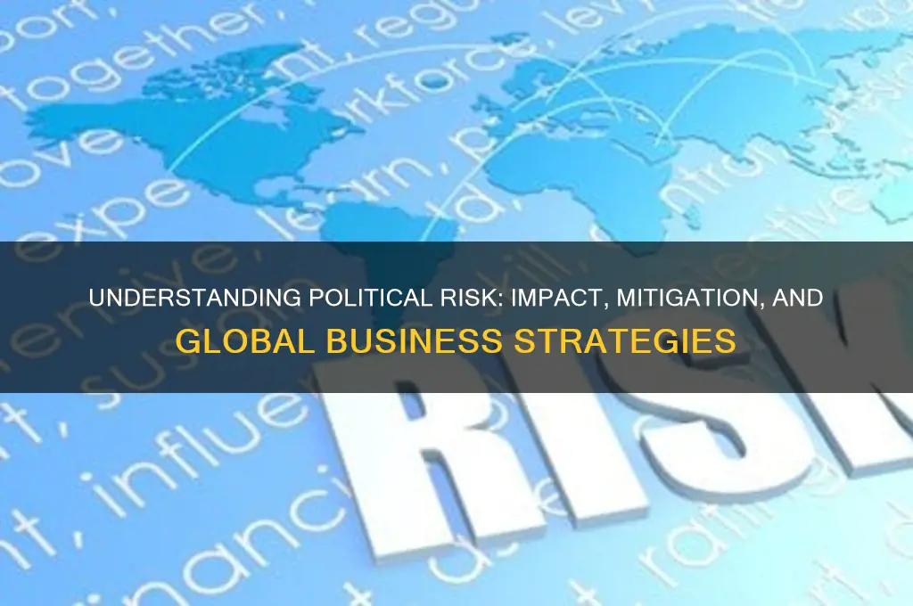 what are political risk