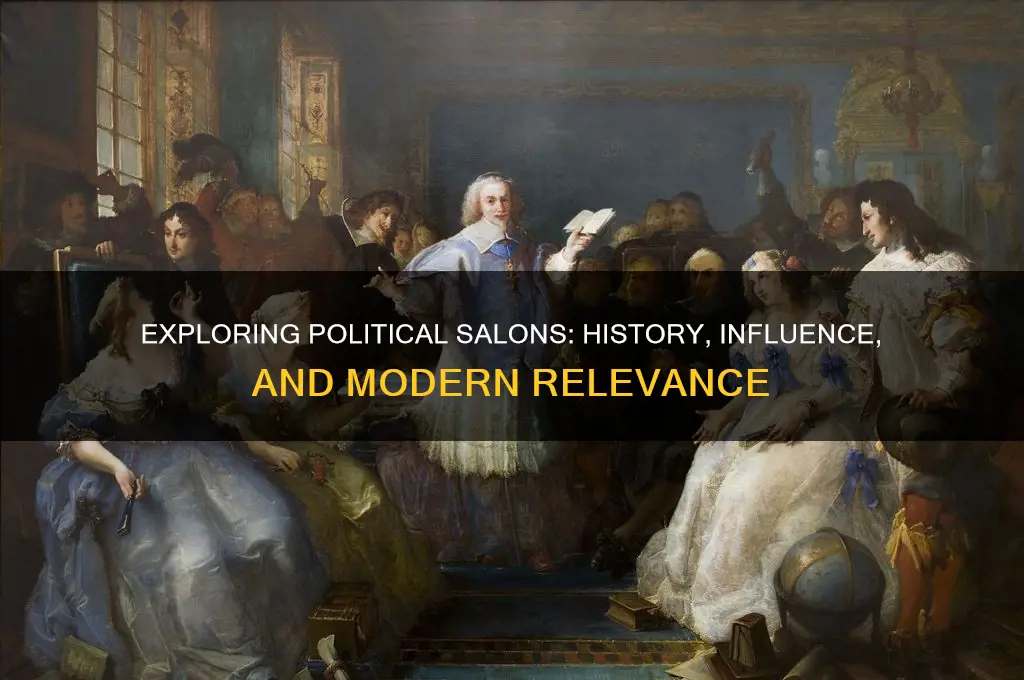 what are political salons