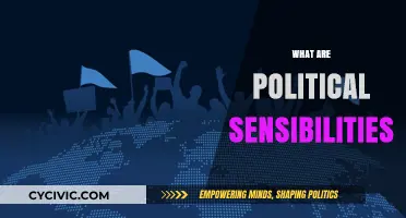 Understanding Political Sensibilities: Navigating Ideologies, Values, and Public Discourse