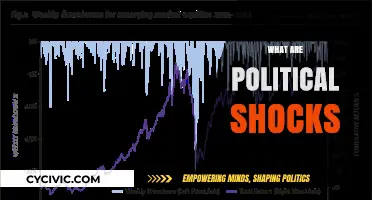 Understanding Political Shocks: Causes, Impacts, and Global Repercussions