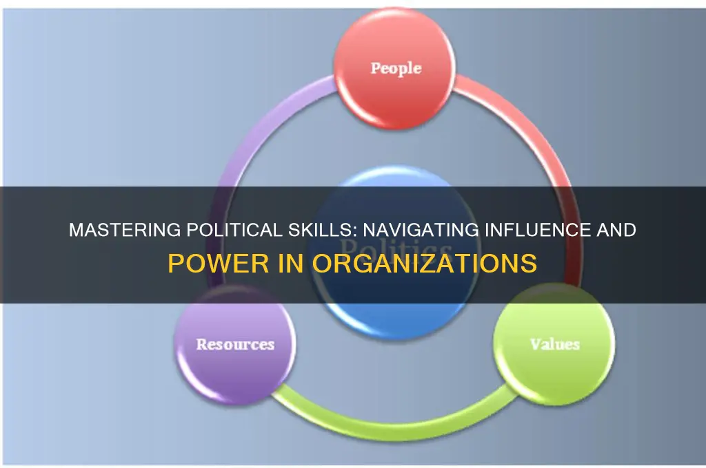 what are political skills