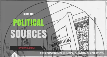 Understanding Political Sources: Types, Reliability, and Impact on Democracy
