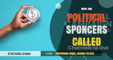 Understanding Political Sponsorship: Key Terms and Their Meanings Explained