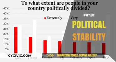 Understanding Political Stability: Key Factors and Global Implications