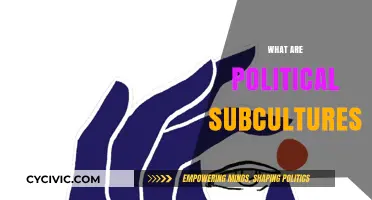 Exploring Political Subcultures: Identity, Beliefs, and Social Movements