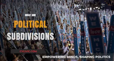 Understanding Political Subdivisions: Local Governance and Its Role in Democracy