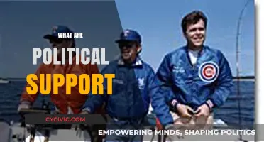 Understanding Political Support: Key Factors and Their Impact on Governance