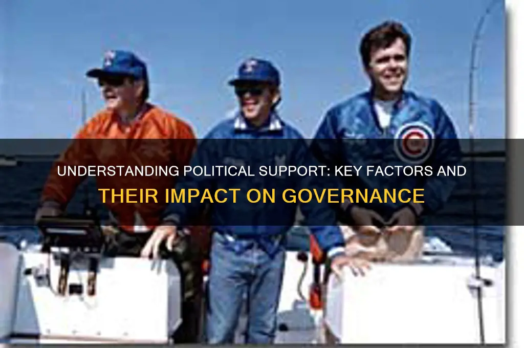 what are political support