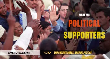 Understanding Political Supporters: Roles, Motivations, and Impact on Democracy