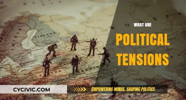 Understanding Political Tensions: Causes, Impacts, and Global Consequences