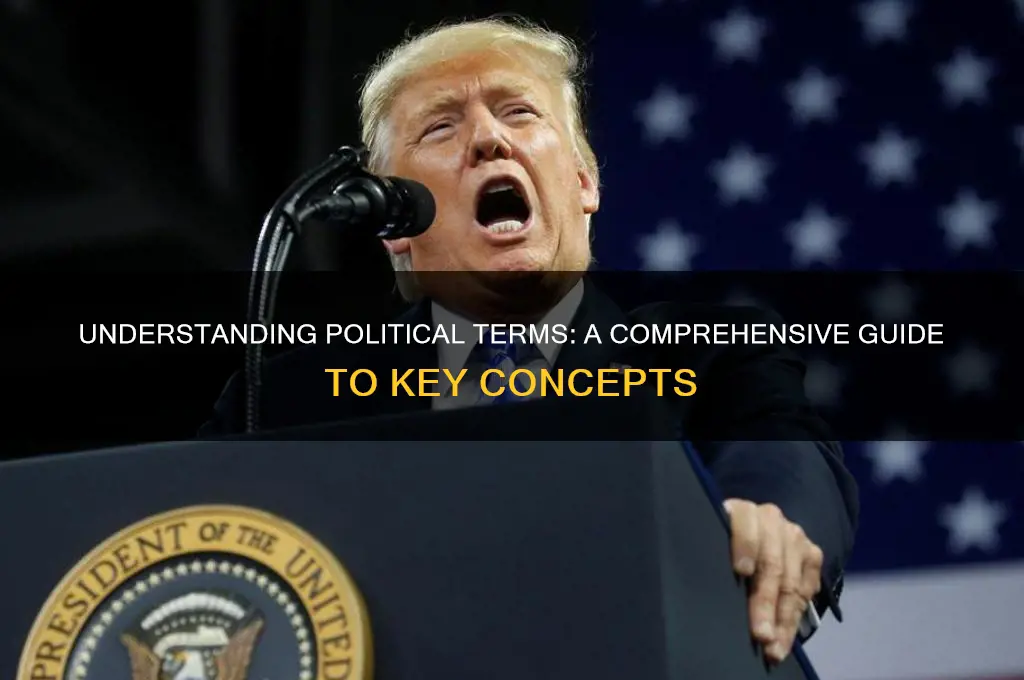 what are political terms