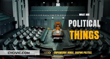 Understanding Political Things: Concepts, Systems, and Real-World Implications