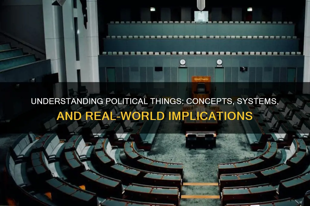 what are political things