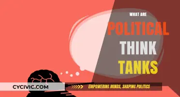 Understanding Political Think Tanks: Their Role, Influence, and Impact