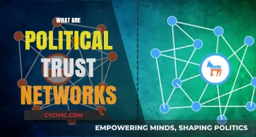 Understanding Political Trust Networks: Key Players, Alliances, and Influence Dynamics