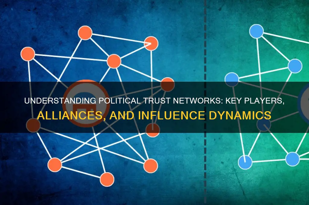 what are political trust networks