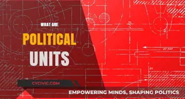 Understanding Political Units: Definitions, Types, and Global Significance