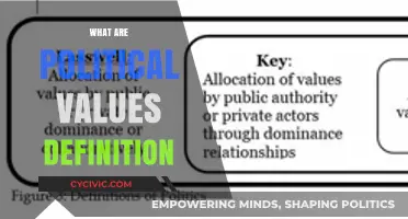 Understanding Political Values: Core Principles Shaping Governance and Society