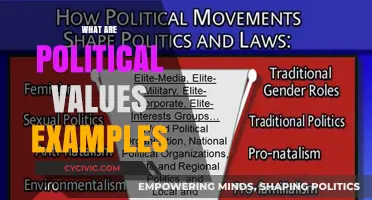 Understanding Political Values: Examples and Their Impact on Society