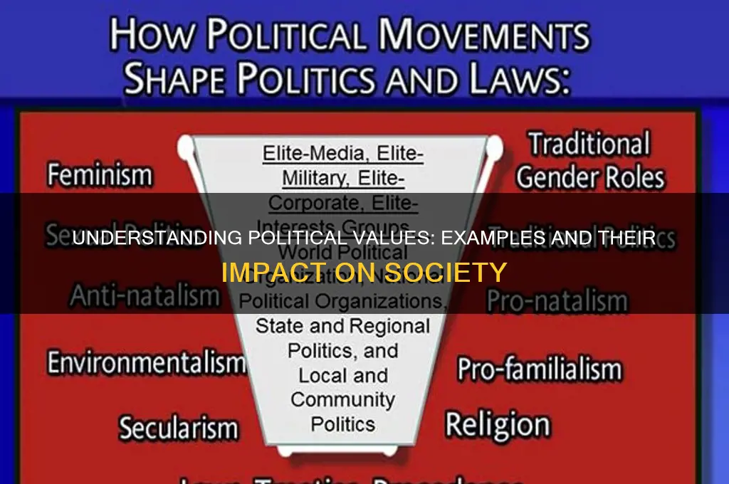 what are political values examples
