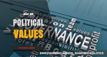 Understanding Political Values: Core Beliefs Shaping Governance and Society
