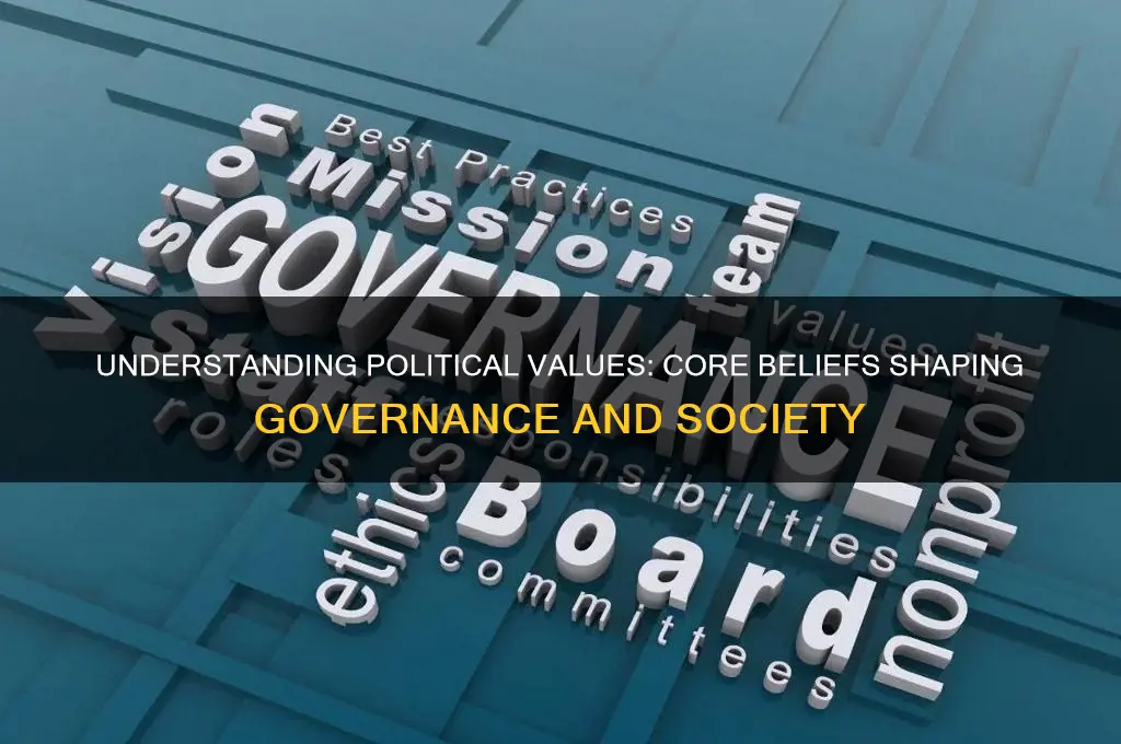 what are political values