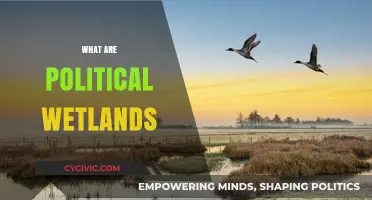 Understanding Political Wetlands: Navigating Complex Policy Landscapes and Power Dynamics
