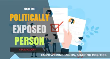 Understanding Politically Exposed Persons: Risks, Regulations, and Compliance