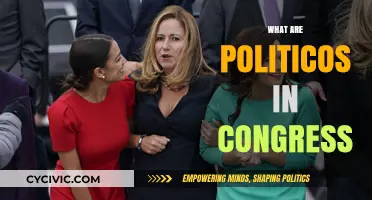 Understanding Politicos in Congress: Roles, Influence, and Impact Explained