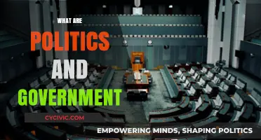 Understanding Politics and Government: Power, Policies, and Public Interests