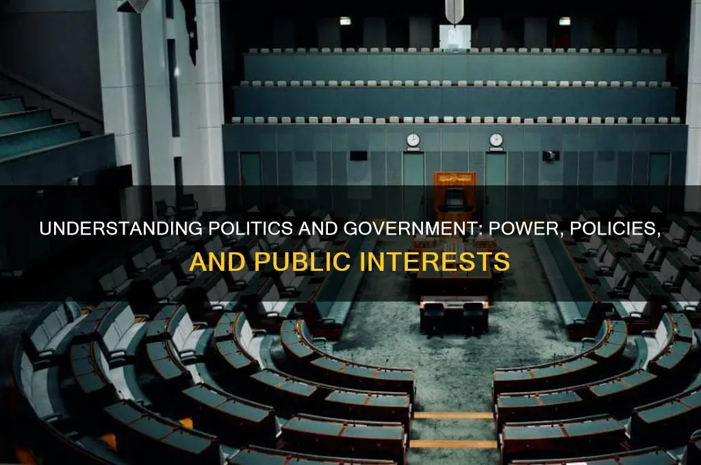 what are politics and government