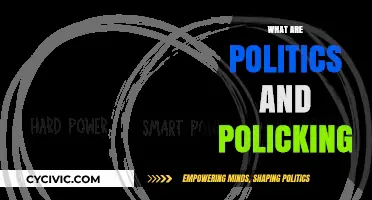 Understanding Politics and Policking: Power, Strategy, and Influence Explained
