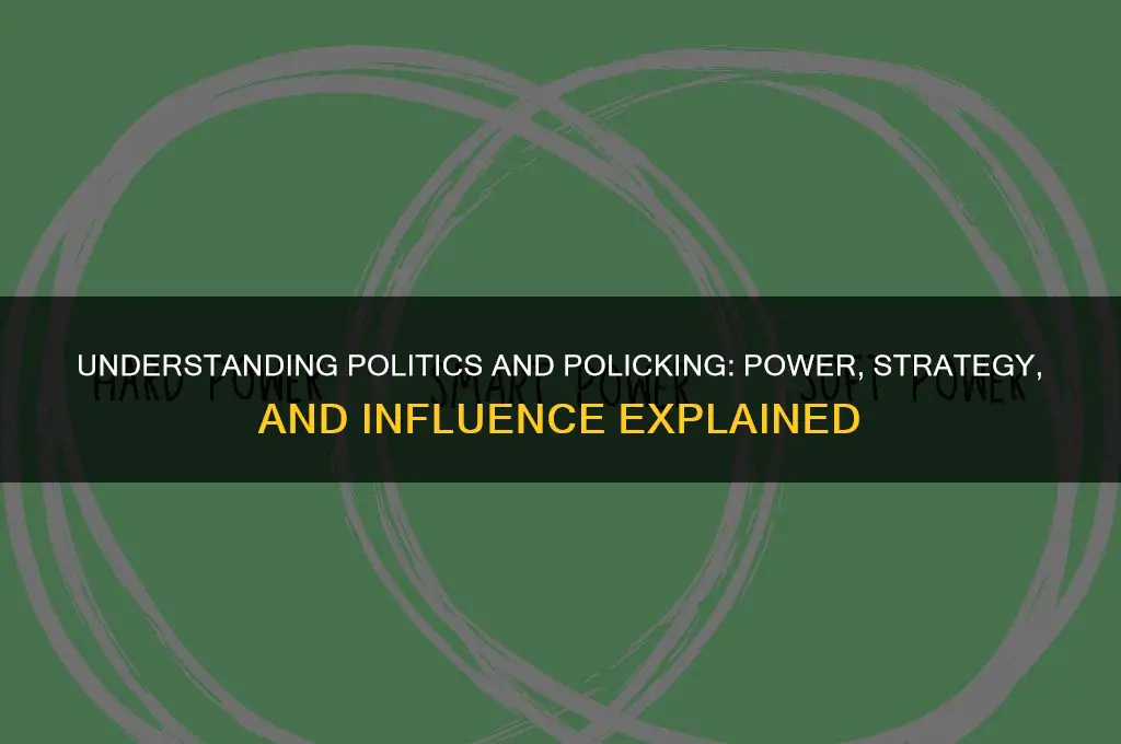 what are politics and policking