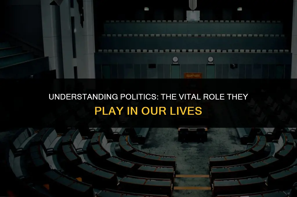 what are politics and why are they important