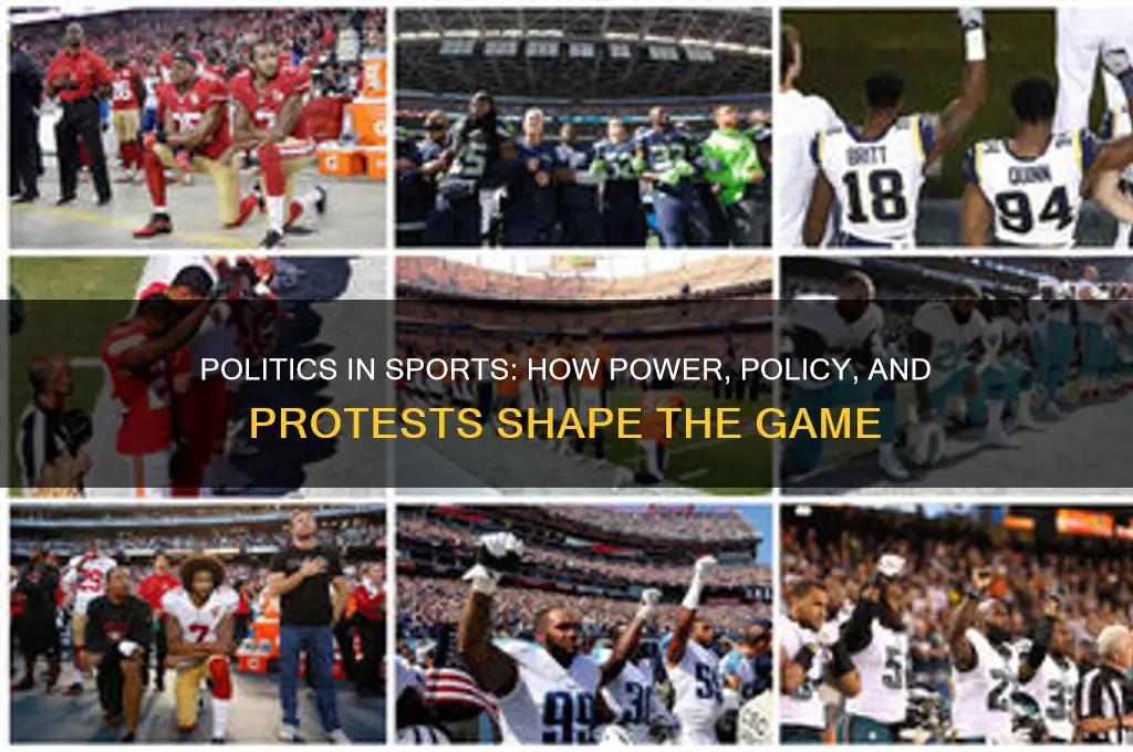 what are politics in sports