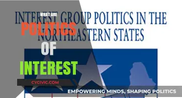 Understanding the Dynamics of Interest-Driven Politics and Power Structures