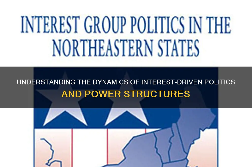 what are politics of interest