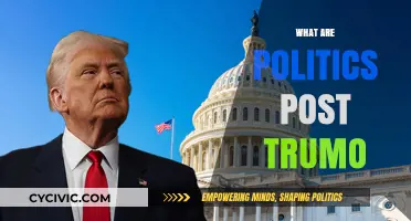 Post-Trump Politics: Shifting Landscapes, New Challenges, and Future Directions