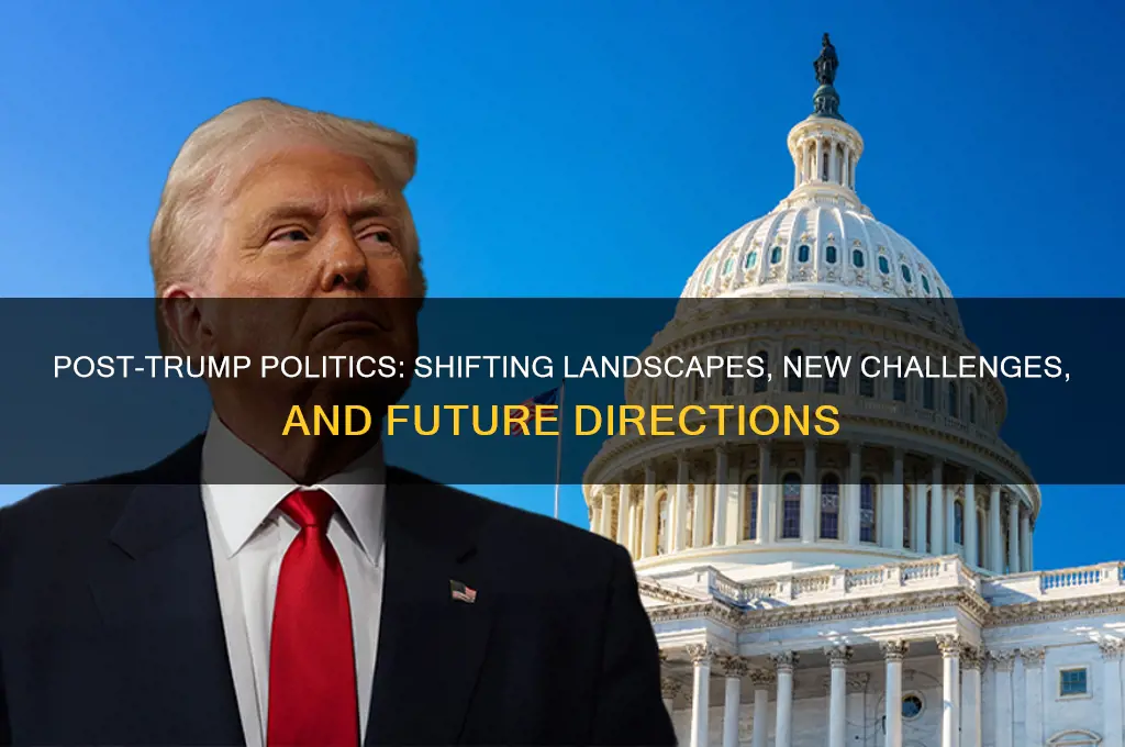 what are politics post trumo