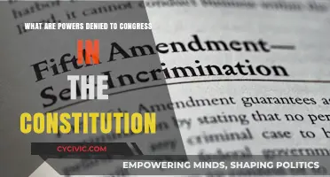 Congressional Constraints: Powers Denied by the Constitution