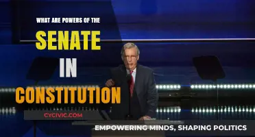 Senate Powers: Exploring Constitutional Authority