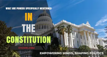 The Constitution's Explicit Powers