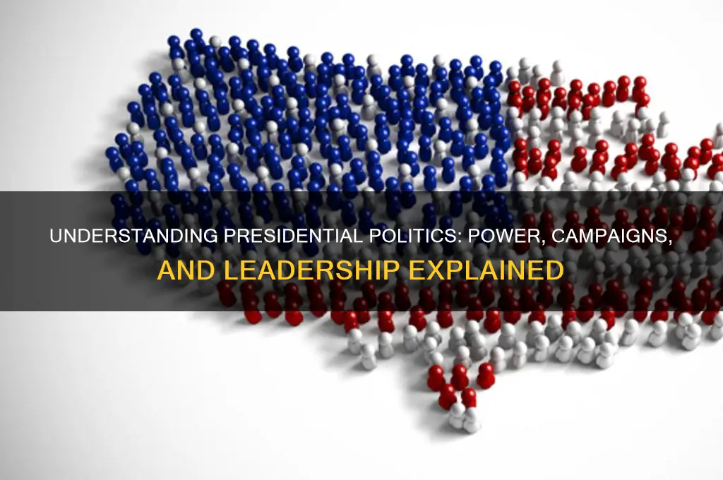 what are presidential politics