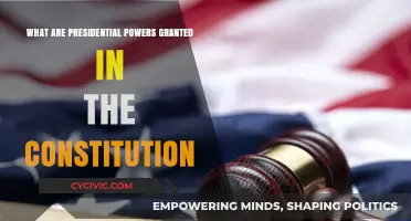 Presidential Powers: Understanding Constitutional Authority