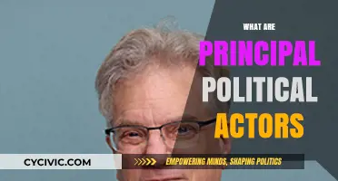 Understanding Principal Political Actors: Key Players Shaping Global Politics
