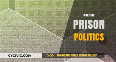 Understanding Prison Politics: Power, Survival, and Social Dynamics Inside