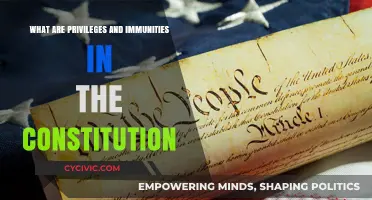 Understanding Constitutional Privileges and Immunities