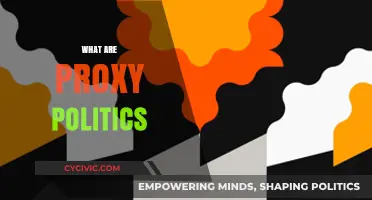 Understanding Proxy Politics: Hidden Influences and Global Power Dynamics