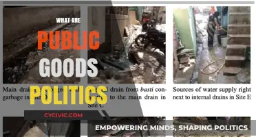 Understanding Public Goods Politics: Collective Benefits, Challenges, and Policy Implications