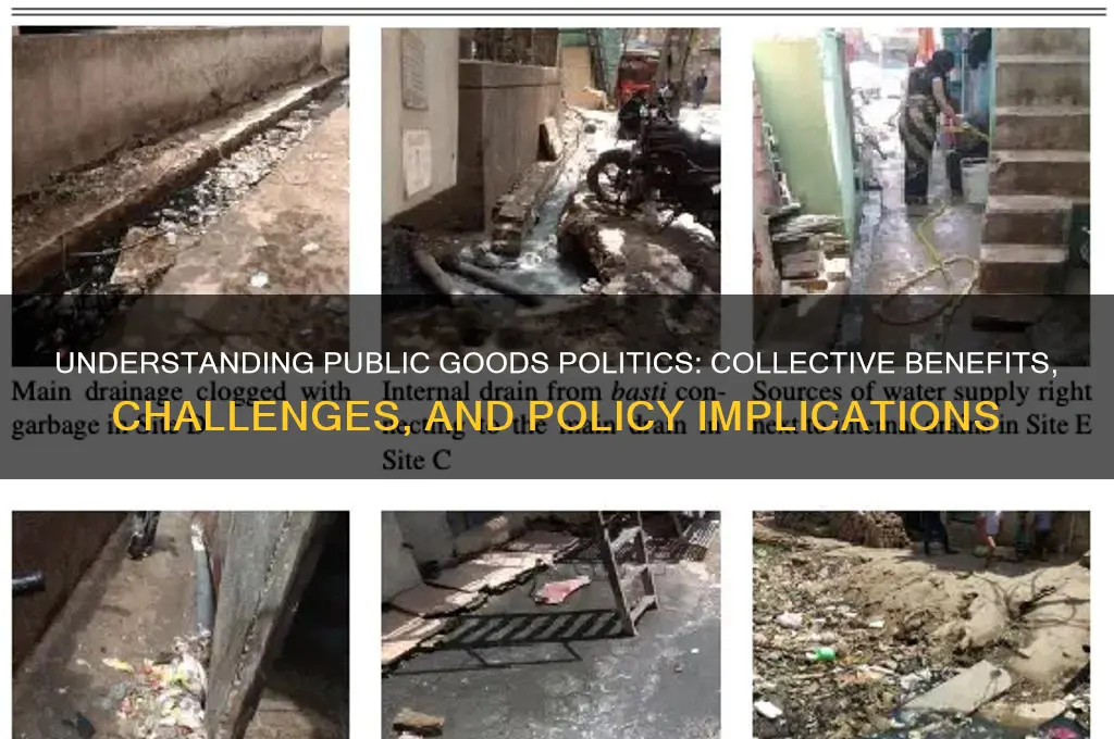 what are public goods politics